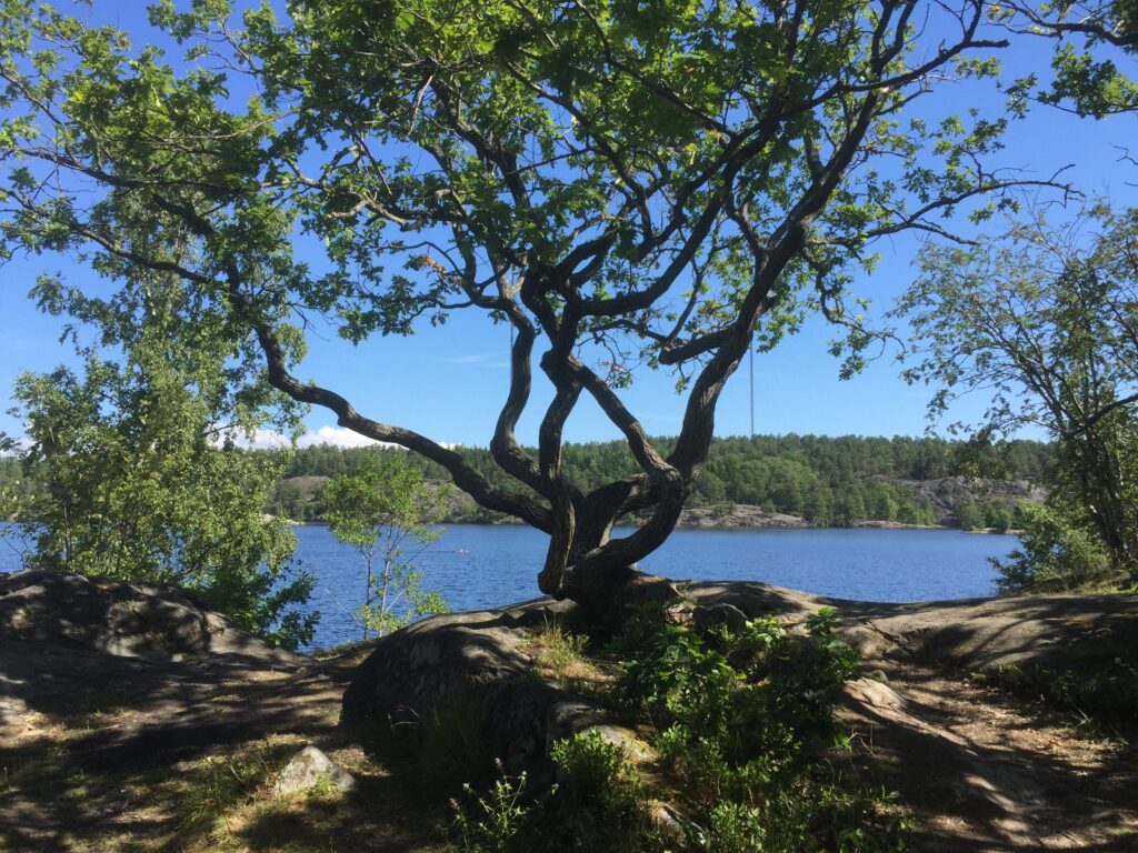 image shows a nice outdoor spot in stockholm called hellasgarden