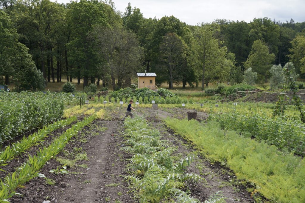 image shows kid running through Ulriksdals gardens right outside of Stockholm