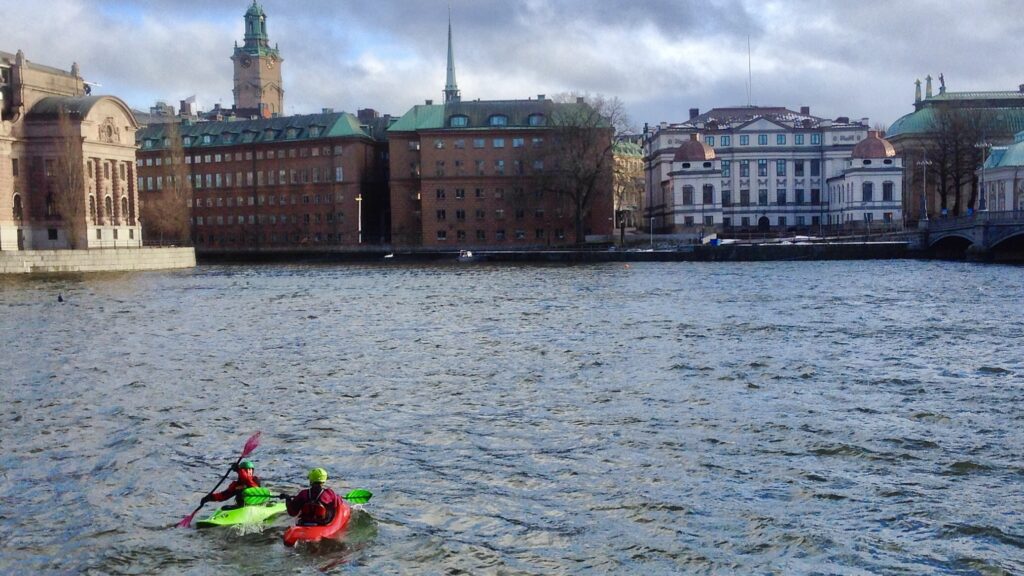 image shows people rowing kayaks outdoors in Stockholm